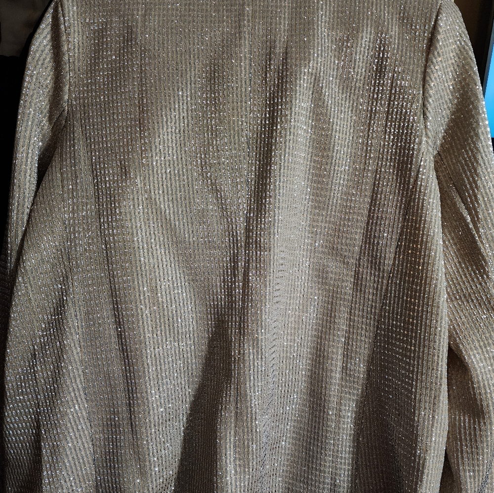 Glitter blazer